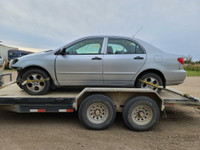 Parting out WRECKING: 2007 Toyota Corolla Parts