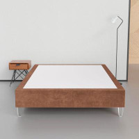 Spinal Solution 14-Inch Premium Velvet Acrylic Material Wood Bed Frame, Comfortable Foundation with Acrylic Legs