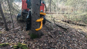 Tree Shear Attachment for skid steer, excavator, loader, etc. Alberta Preview