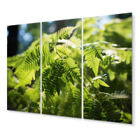 Design Art Ferns Plant Dappled Sunlight - Floral Metal Wall Decor Set