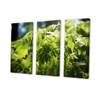Bay Isle Home™ Ferns Plant Dappled Sunlight - Floral Canvas Prints Set