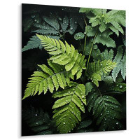 Gracie Oaks Ferns Plant Monochrome Symphony III - Floral & Botanical Metal Wall Decor