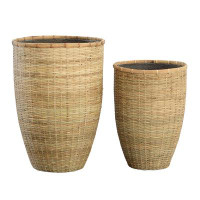 Joss & Main Alleya Bamboo Pot Planter (Set of 2)
