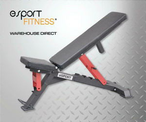 NEW eSPORT IRON BULL SUPER BENCHES BEST IN THIS PRICE RENGE Kamloops British Columbia Preview