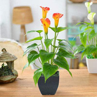 Primrue Artificial Flower Plants Calla Lily Faux Small Potted Plant With Black Pot Fake Bonsai Flower For Home, Office,