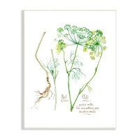 Stupell Industries Dill Greens Best Of Herbs Watercolor Garden Plants White Framed Giclee Texturized Art By Verbrugge Wa