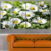 Design Art 'Spring Background with White Flowers' 4 Piece Photographic Print on Wrapped Canvas Set