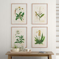 Kelly Clarkson Home Wegate 'Vintage Botanical Study' - 4 Piece Picture Frame Print Set on Paper