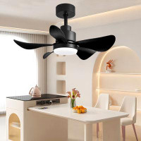 Wrought Studio 28"Ceiling Fans With Lights And Remote Control