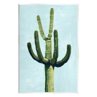 Stupell Industries Cactus Plant Arid Vegetation Giclee Art By Mia Jensen