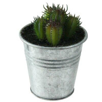 Northlight Seasonal 3.5" Tropical Mini Artificial Cactus in Tin Pot