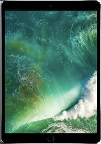 iPad Pro 1 - 10.5 256 GB Unlocked -- Let our customer service amaze you