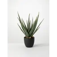 Union Rustic 16'' Artificial Aloe Plant in Pot