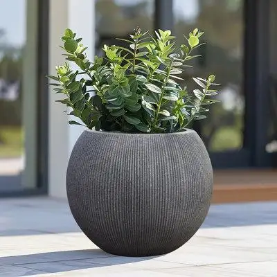 Ebern Designs Anjonette Pot Planter