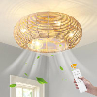 Bay Isle Home™ Hoai 20" Boho Caged Ceiling Fan with Lights Flush Mount