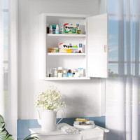 Medicine Cabinet 15.7" x 5.9" x 21.1" White