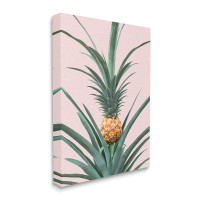 Stupell Industries Stupell Industries Pineapple Plant On Pink Framed Floater Canvas Wall Art Design By Sisi And Seb