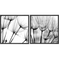 IDEA4WALL IDEA4WALL Framed Wall Art Print Set Film Grain Dandelion Closeup Display Floral Plants Photography Minimalism