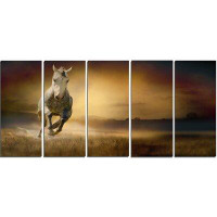 Made in Canada - Design Art 'Horse Galloping Through Valley' 5 Piece Graphic Art on Wrapped Canvas Set