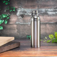 Intexca Phluid 18oz Water Bottle, Stainless Steel Canteen Bottle With Carabiner