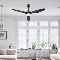 Ivy Bronx 52" Ceiling Fans With Lights