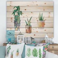 East Urban Home Three Potted Houseplants - Traditional Print On Natural Pine Wood