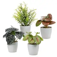 Primrue 4 Piece Fuax Fake Mini Foliage Artificial Plants White Pot