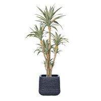 Vintage Home 88.57"H Vintage Real Touch Golden Edged Agave, Indoor/ Outdoor, In Pot With Rope Basket (48X48x82"H )