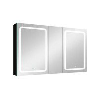 wendeway Surface Mount Framed 2 Door Medicine Cabinet with 6 Shelves and Lighting