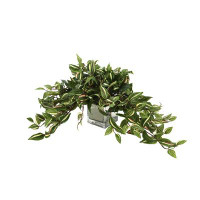 Primrue Ricka 7" Artificial Foliage Plant in Pot