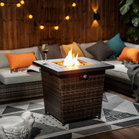 Latitude Run® Musso 24.88" H x 28.08" W Stainless Steel Propane Outdoor Fire Pit Table