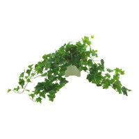 Primrue Oakes 15'' Artificial Ivy Plant in Ceramic Pot