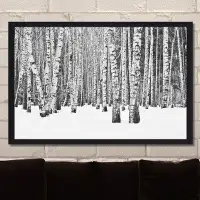 Made in Canada - Picture Perfect International "Birch Trees in Winter" Framed Photographic Print