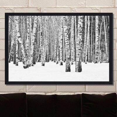 Made in Canada - Picture Perfect International "Birch Trees in Winter" Framed Photographic Print in Arts & Collectibles