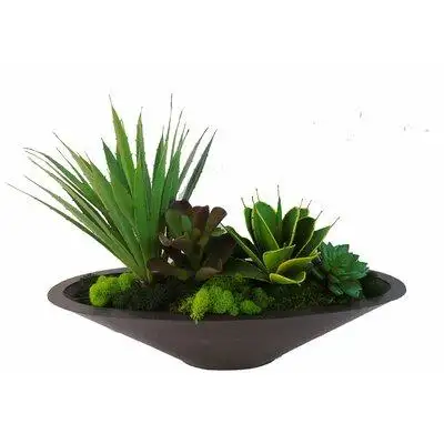 Corrigan Studio 7" Artificial Aloe Succulent in Planter