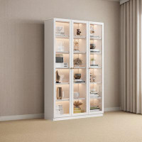 Latitude Run® Bookcase Bookshelf Integrated Combination Glass Door Light Luxury Modern Display Cabinet 4