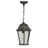 Beachcrest Home Coso 1 -Bulb 14.5" H Outdoor Hanging Lantern