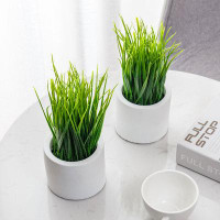 Freeport Park® 2-Piece Artificial Grass Plants In Pots