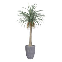 Vintage Home 89.1"H Vintage Real Touch Dragon Tree, Indoor/ Outdoor, In Rounded Planter With Rope Basket ( 42X42x78"H )