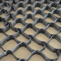 High Strength 4 Ground Grid Polyethylene Honeycomb Geocell HDPE Permeable Pavers 056167