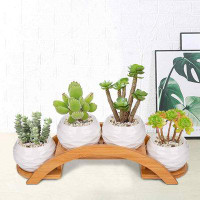 George Oliver 4 Pack Succulent Plant Pots and Stand Set, Ceramic Mini Planter Pots with Bamboo Tray