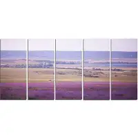 Design Art 'Calm Sunset Over Lavender Field' 5 Piece Photographic Print on Wrapped Canvas Set