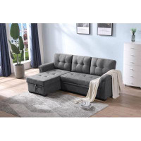 Latitude Run® Latitude Run® Reversible Sleeper Sectional Sofa with Storage Chaise