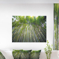 Made in Canada - East Urban Home 'Bamboo Forest of Kyoto Japan' Photograph