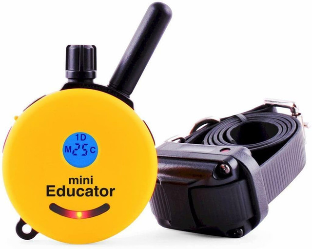 HUGE Discount! Educator ET-300TS 1/2-Mile Mini E-Collar Remote Dog Trainer | FAST, FREE Delivery to Your Home in Accessories