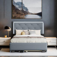 Ivy Bronx Platform Bed With 2 Big Drawers, Trundle And Led Light