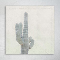 Foundry Select Photo Of Grey Cactus Plant - 1 Piece Square Graphic Art Print On Wrapped Canvas