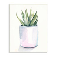 Stupell Industries Indoor Cactus Potted Succulent Soft Watercolor Plant White Framed Giclee Texturized Art By Jennifer P
