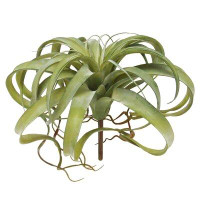 Primrue 14" Large Artificial Tillandsia Succulent Plant