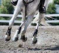 Crumb Rubber Horse Arena Footing! Discounts for Volume Buys!
